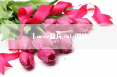 【roewe图片,rothy图片】