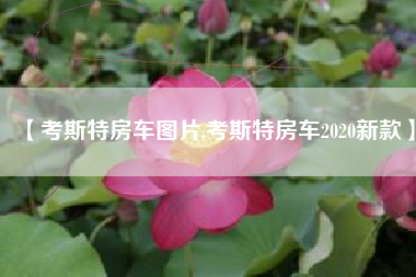 【考斯特房车图片,考斯特房车2020新款】