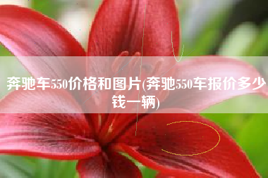 奔驰车550价格和图片(奔驰550车报价多少钱一辆)