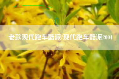 老款现代跑车酷派/现代跑车酷派2004