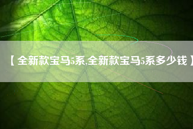 【全新款宝马5系,全新款宝马5系多少钱】