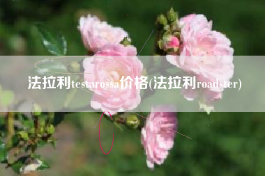 法拉利testarossa价格(法拉利roadster)