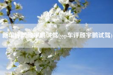 新车评网颜宇鹏试驾(yyp车评颜宇鹏试驾)