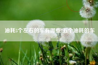 油耗5个左右的车有哪些/五个油耗的车