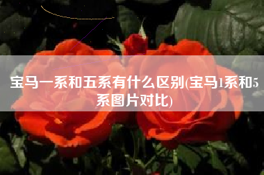 宝马一系和五系有什么区别(宝马1系和5系图片对比)