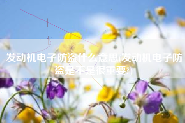 发动机电子防盗什么意思(发动机电子防盗是不是很重要?)