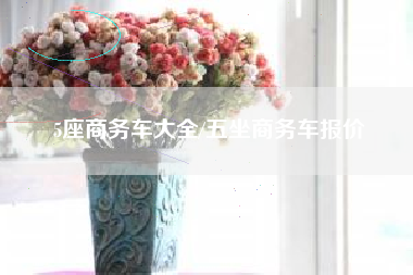 5座商务车大全/五坐商务车报价