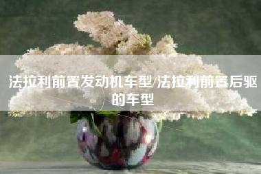法拉利前置发动机车型/法拉利前置后驱的车型