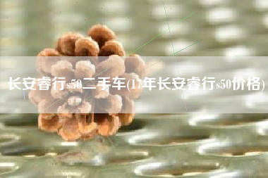 长安睿行s50二手车(17年长安睿行s50价格)