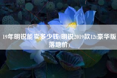 19年明锐能卖多少钱(明锐2019款12t豪华版落地价)