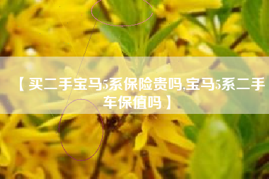 【买二手宝马5系保险贵吗,宝马5系二手车保值吗】