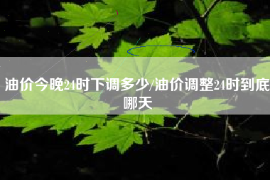 油价今晚24时下调多少/油价调整24时到底哪天 油价今晚24时下调多少/油价调整24时到底哪天