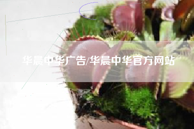 华晨中华广告/华晨中华官方网站 华晨中华广告/华晨中华官方网站