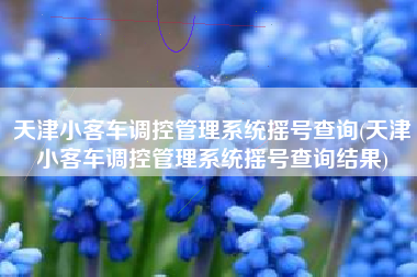 天津小客车调控管理系统摇号查询(天津小客车调控管理系统摇号查询结果)