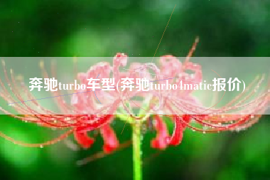 奔驰turbo车型(奔驰turbo4matic报价) 奔驰turbo车型(奔驰turbo4matic报价)