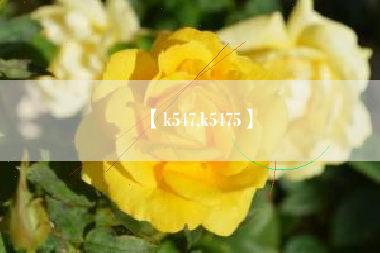 【k547,k5475】 【k547,k5475】