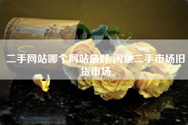 二手网站哪个网站最好/闲鱼二手市场旧货市场