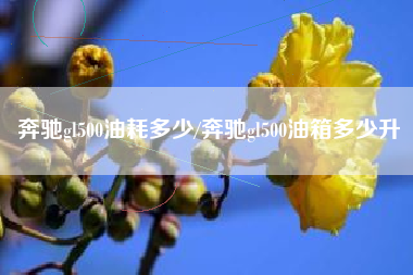 奔驰gl500油耗多少/奔驰gl500油箱多少升 奔驰gl500油耗多少/奔驰gl500油箱多少升