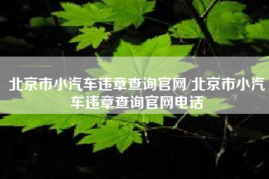 北京市小汽车违章查询官网/北京市小汽车违章查询官网电话 北京市小汽车违章查询官网/北京市小汽车违章查询官网电话