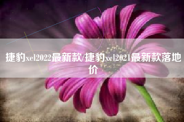 捷豹xel2022最新款/捷豹xel2021最新款落地价 捷豹xel2022最新款/捷豹xel2021最新款落地价