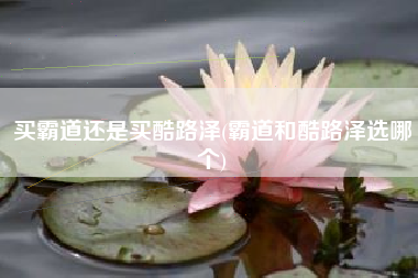 买霸道还是买酷路泽(霸道和酷路泽选哪个) 买霸道还是买酷路泽(霸道和酷路泽选哪个)