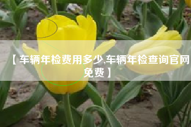 【车辆年检费用多少,车辆年检查询官网免费】