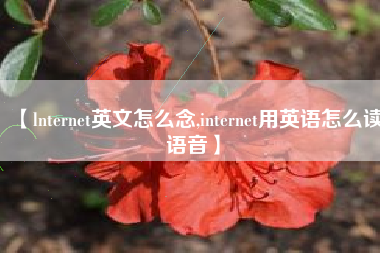 【lnternet英文怎么念,internet用英语怎么读语音】