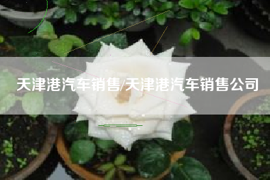 天津港汽车销售/天津港汽车销售公司 天津港汽车销售/天津港汽车销售公司